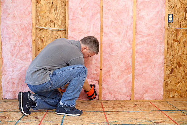 Best Insulation for Specific Applications in West Bishop, CA