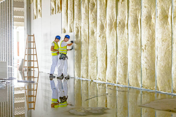 Best Commercial Insulation in West Bishop, CA